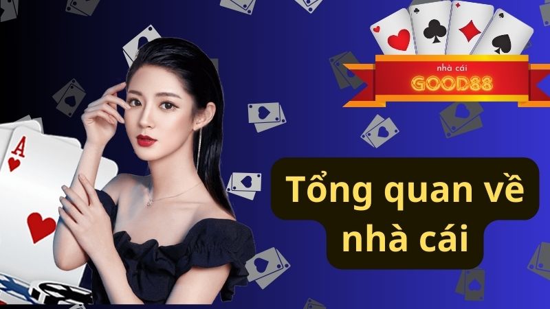 Tổng quan về nhà cái