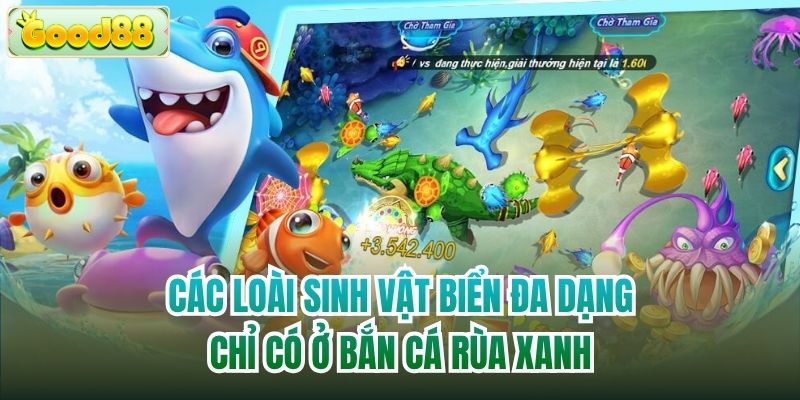 Các loài sinh vật biển đa dạng chỉ có ở Bắn Cá Rùa Xanh