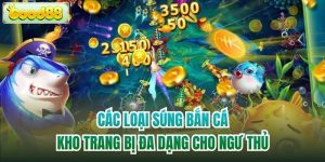 Các Loại Súng Bắn Cá | Kho Trang Bị Đa Dạng Cho Ngư Thủ