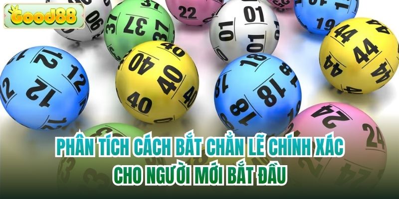 Phân Tích Cách Bắt Chẳn Lẽ Chính Xác Cho Người Mới Bắt Đầu
