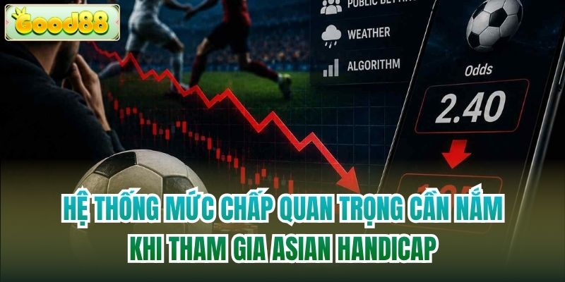 Hệ thống mức chấp quan trọng cần nắm khi tham gia Asian Handicap
