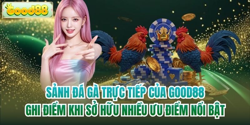 Sảnh đá gà trực tiếp của Good88 ghi điểm khi sở hữu nhiều ưu điểm nổi bật