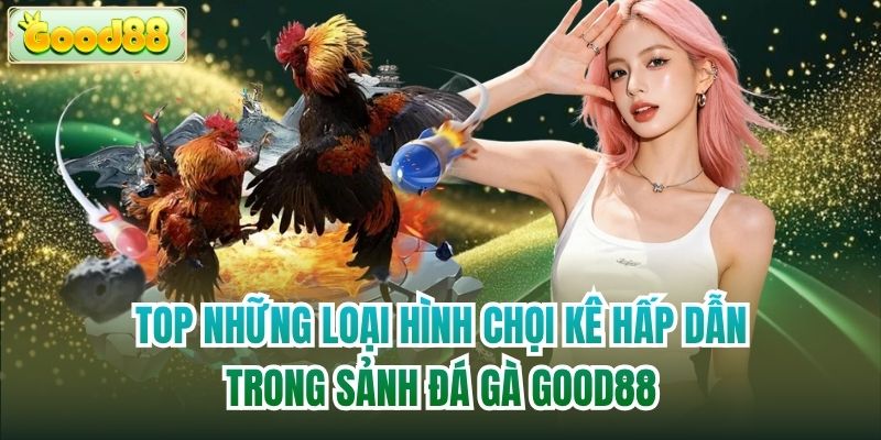 Top những loại hình chọi kê hấp dẫn trong sảnh đá gà Good88